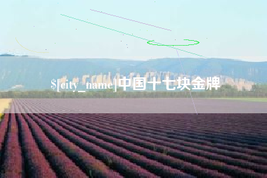 淇县中国十七块金牌