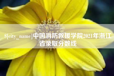 淇县中国消防救援学院2021年浙江省录取分数线