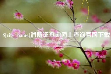 淇县消防证查询网上查询官网下载