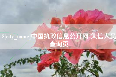 淇县中国执政信息公开网-失信人员查询页