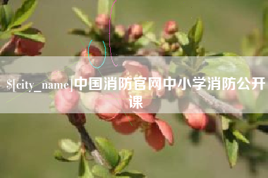 淇县中国消防官网中小学消防公开课