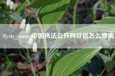 淇县中国执法公开网征信怎么查询
