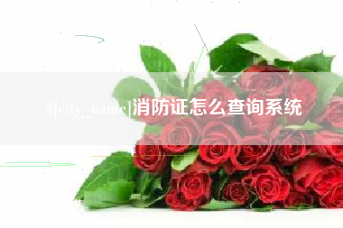 淇县消防证怎么查询系统