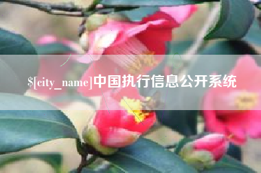 淇县中国执行信息公开系统