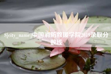 淇县中国消防救援学院2019录取分数线