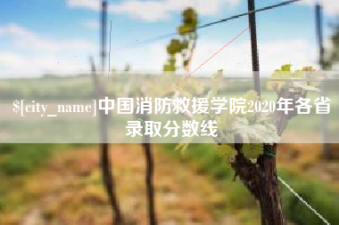 淇县中国消防救援学院2020年各省录取分数线