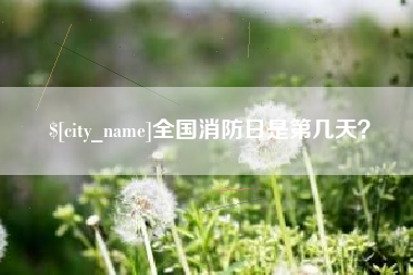 淇县全国消防日是第几天？