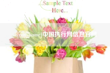 淇县中国执行网信息官网