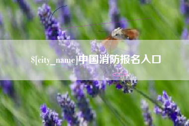 淇县中国消防报名入口