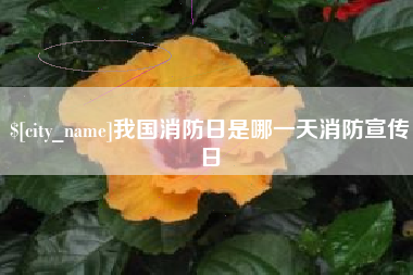 淇县我国消防日是哪一天消防宣传日