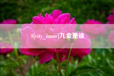 淇县九金是谁