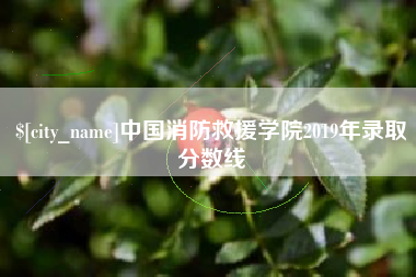 淇县中国消防救援学院2019年录取分数线