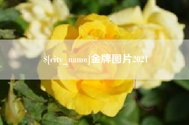 淇县金牌图片2021