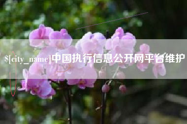 淇县中国执行信息公开网平台维护