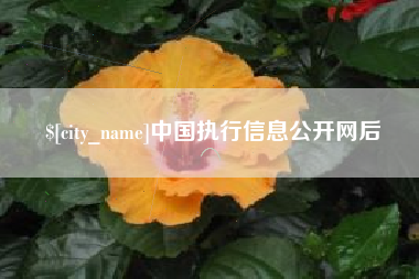 淇县中国执行信息公开网后