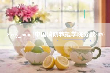 淇县中国消防救援学院分数2020