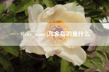 淇县九金指的是什么