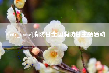 淇县消防日全国消防日主题活动