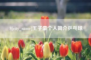 淇县王子豪个人简介乒乓球