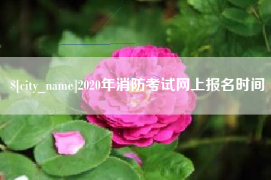 淇县2020年消防考试网上报名时间