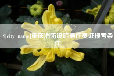 淇县重庆消防设施操作员证报考条件