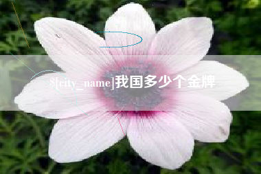 淇县我国多少个金牌