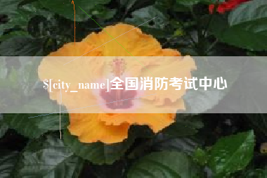 淇县全国消防考试中心