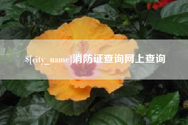 淇县消防证查询网上查询