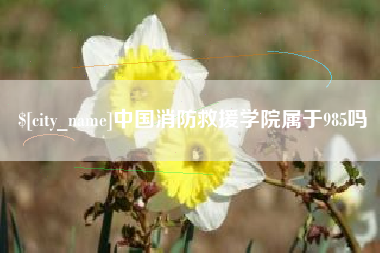 淇县中国消防救援学院属于985吗