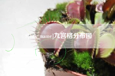 淇县九宫格分布图