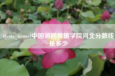 淇县中国消防救援学院河北分数线是多少