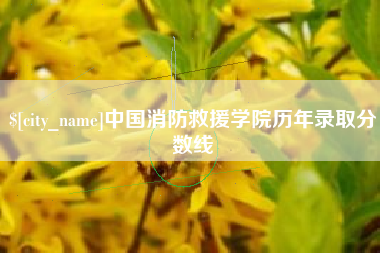 淇县中国消防救援学院历年录取分数线