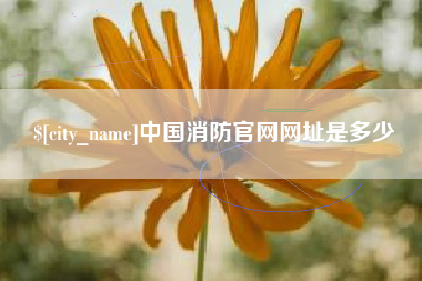 淇县中国消防官网网址是多少