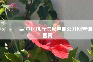 淇县中国执行信息查询公开网查询官网
