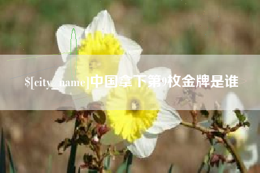 淇县中国拿下第9枚金牌是谁