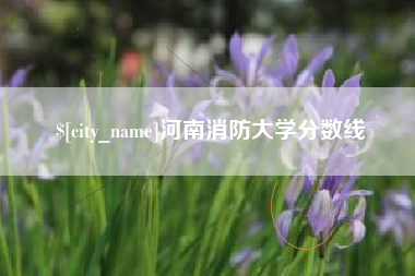 淇县河南消防大学分数线