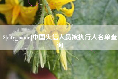淇县中国失信人员被执行人名单查询