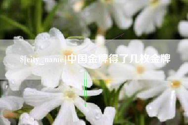 淇县中国金牌得了几枚金牌