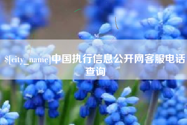 淇县中国执行信息公开网客服电话查询