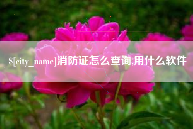 淇县消防证怎么查询,用什么软件