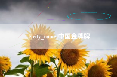 淇县中国金牌牌