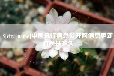 淇县中国执行信息公开网信息更新时间是多久