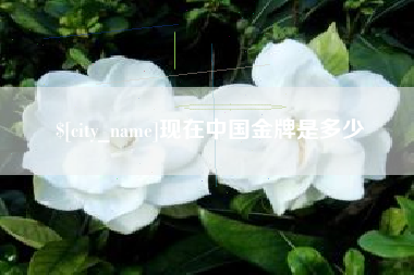 淇县现在中国金牌是多少