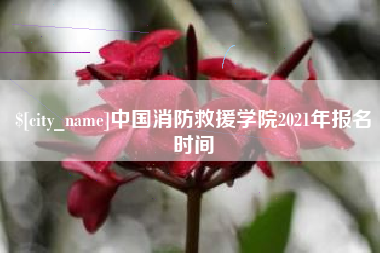 淇县中国消防救援学院2021年报名时间
