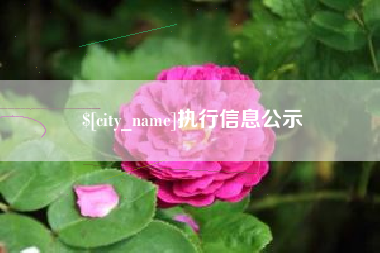 淇县执行信息公示