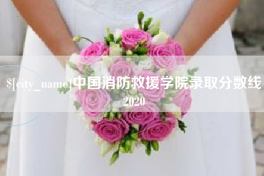 淇县中国消防救援学院录取分数线2020