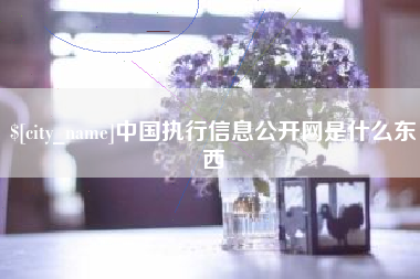 淇县中国执行信息公开网是什么东西