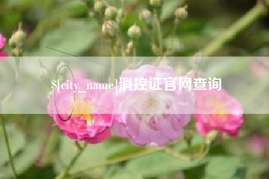 淇县消控证官网查询