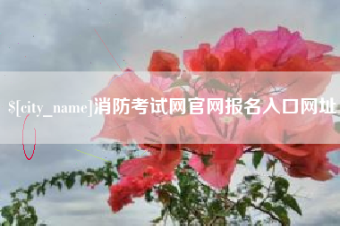 淇县消防考试网官网报名入口网址
