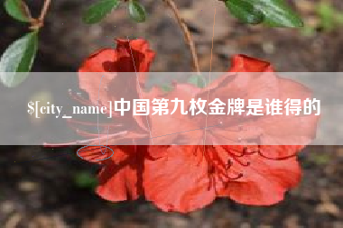 淇县中国第九枚金牌是谁得的